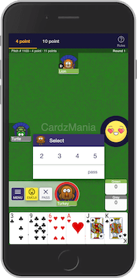 Play Pitch online at CardzMania
